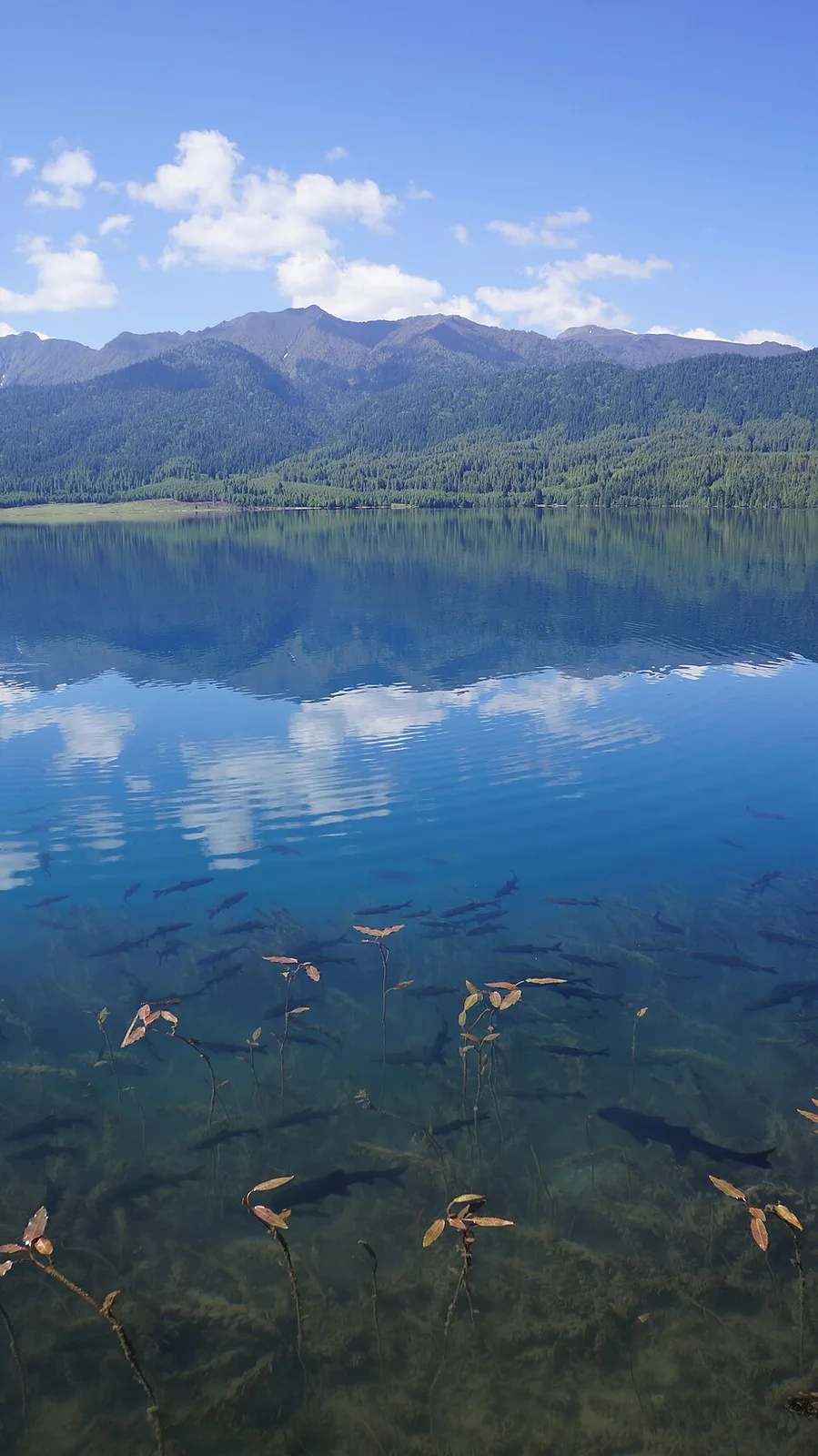 Rara Lake, Mugu—finish-area context for the Jumla–Rara ultra (Wikimedia scenic, not race-day action)