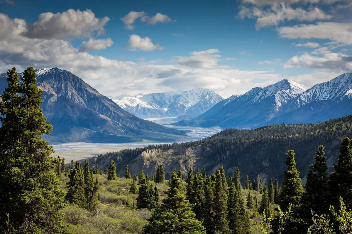 Mountain hiking trail through dense forest in Glacier National Park terrain