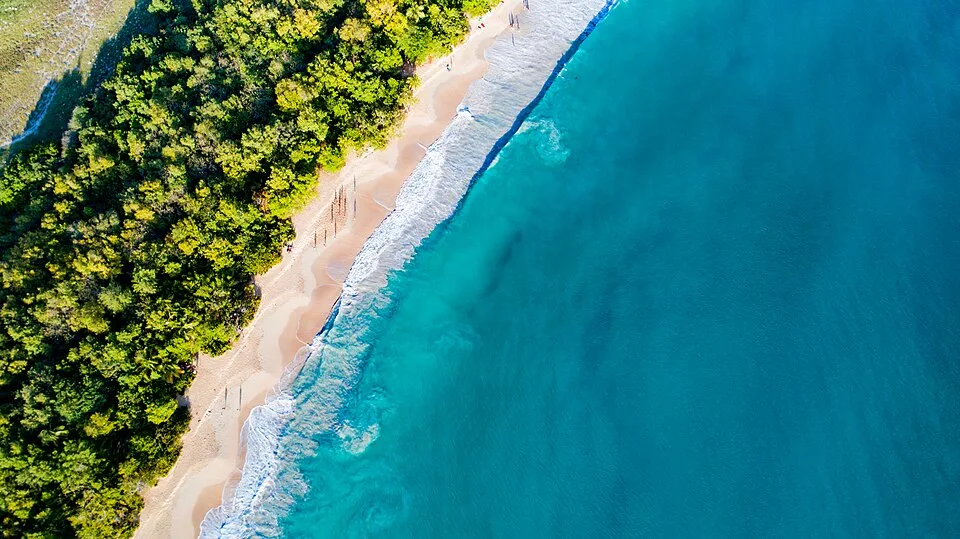Les Salines beach scenery in Martinique—where Bandi was filmed with local crews