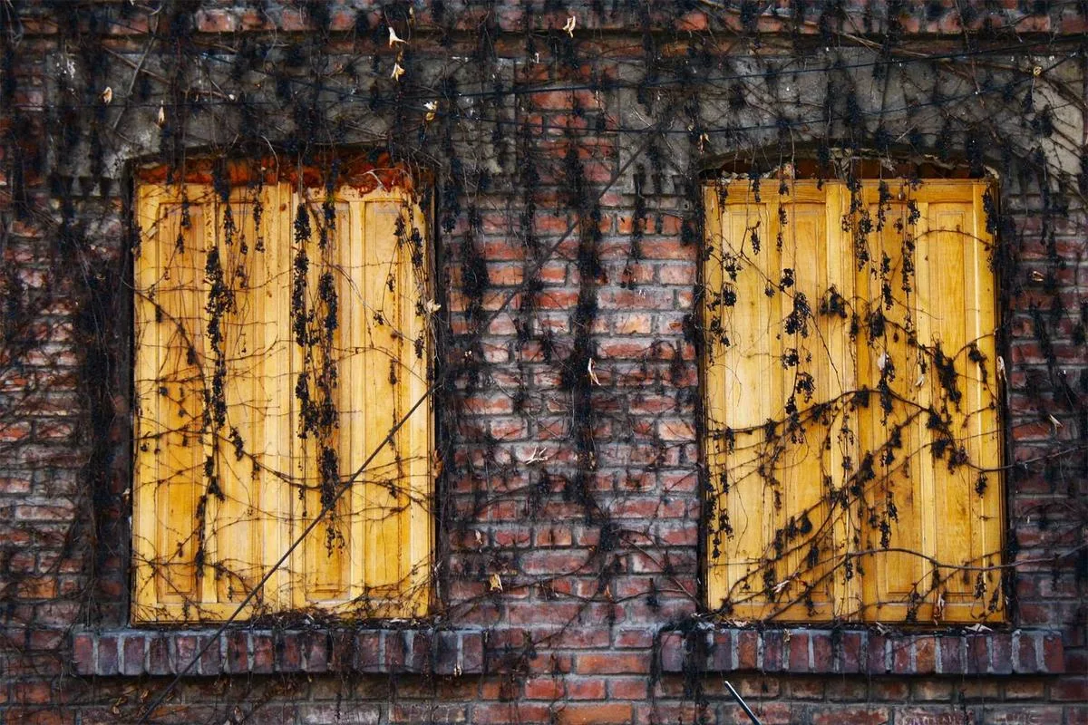 Visual for Newsorga: Sub-two-hour marathon, spooky houses explained and why is UK health in decline? – podcast