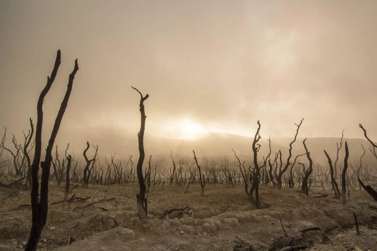 Visual for Newsorga: The Iran war has strengthened Ukraine in surprising ways. Could a ceasefire with Russia be closer?