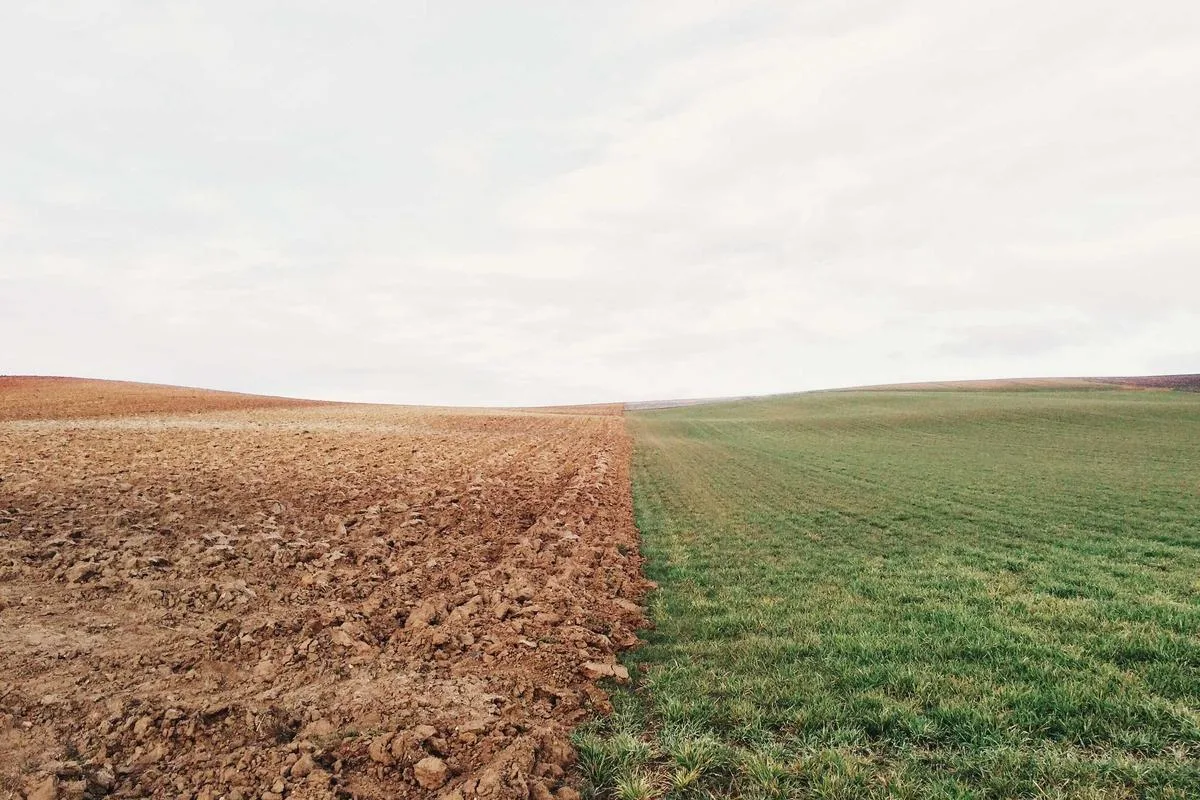Rural southern cone landscape suggesting rodent habitat and outdoor public health context